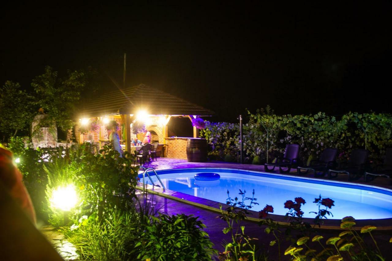 Villa Katarina With Pool 바냐루카 외부 사진